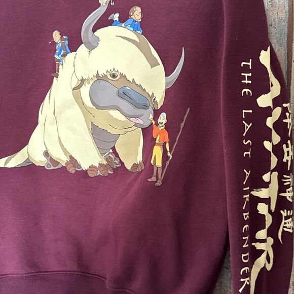 Avatar The Last Airbender Group Portrait Aang, Burgundy Sweater, Womens Size XS - Picture 4 of 7
